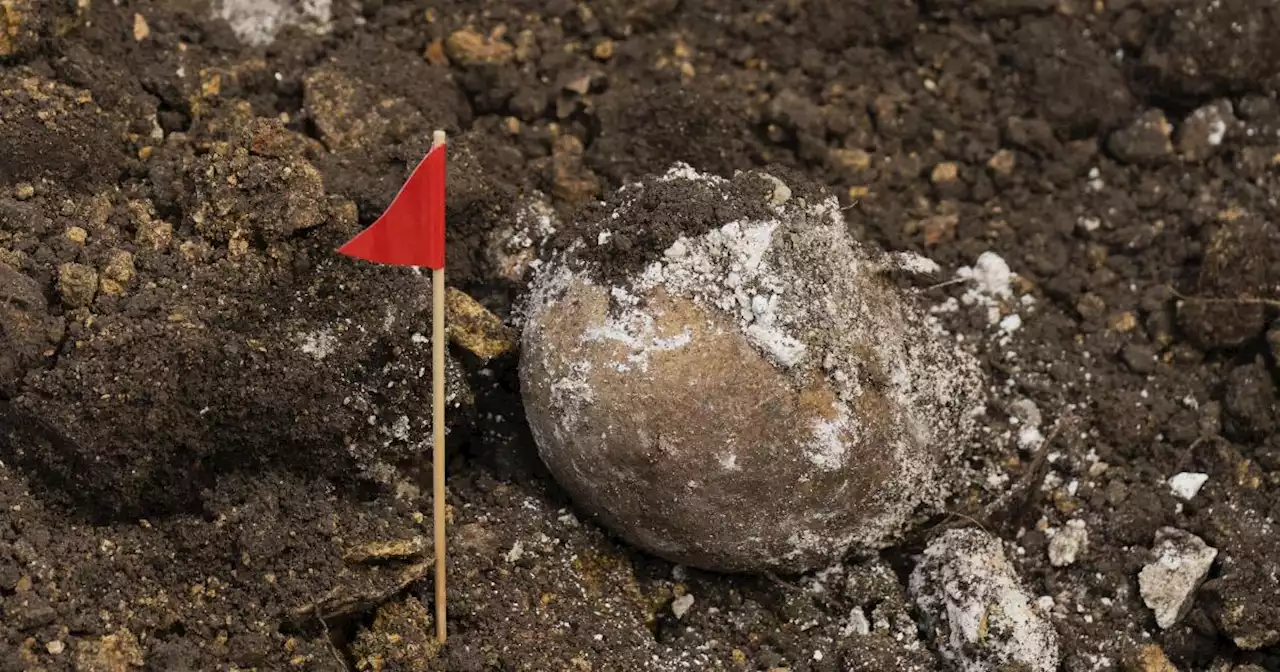 Skull found at Arizona preserve identified as belonging to missing Native American man