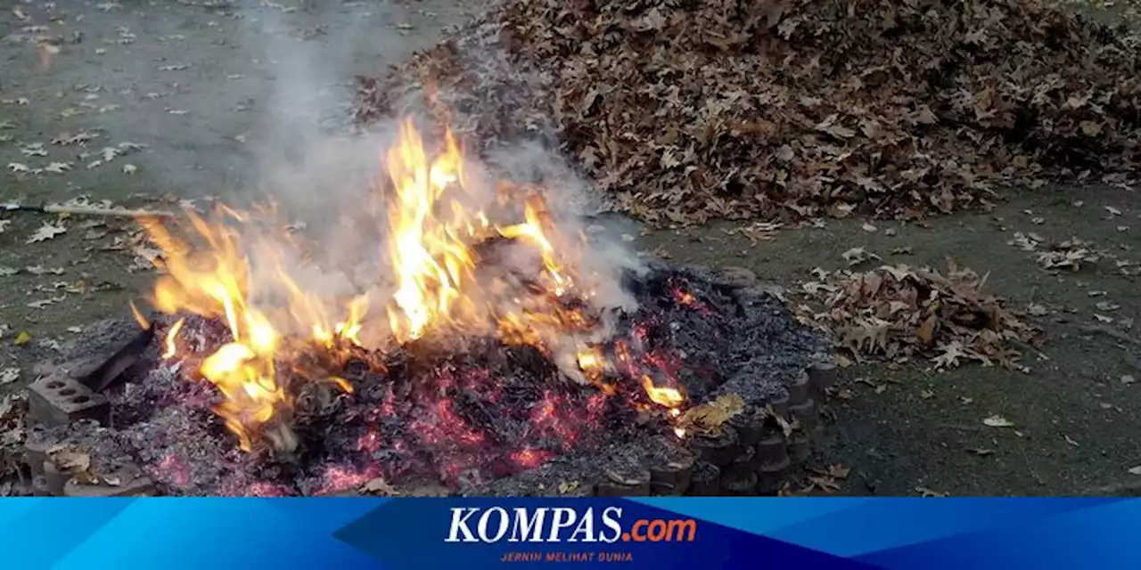 Aktivitas Bakar Sampah Meningkat, Kualitas Udara di Kota Yogyakarta Memburuk