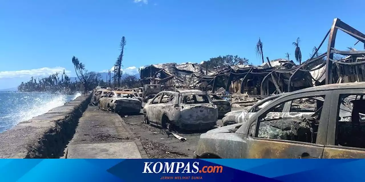 Korban Kebakaran di Maui Hawaii Tak Dapat Peringatan, Tidak Ada Perintah Mengungsi