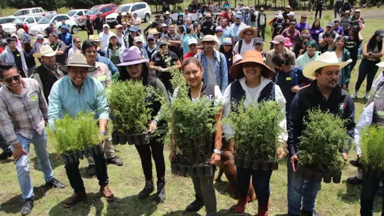 Arranca reforestación en Tlalpan con la plantación de más de mil 500 árboles