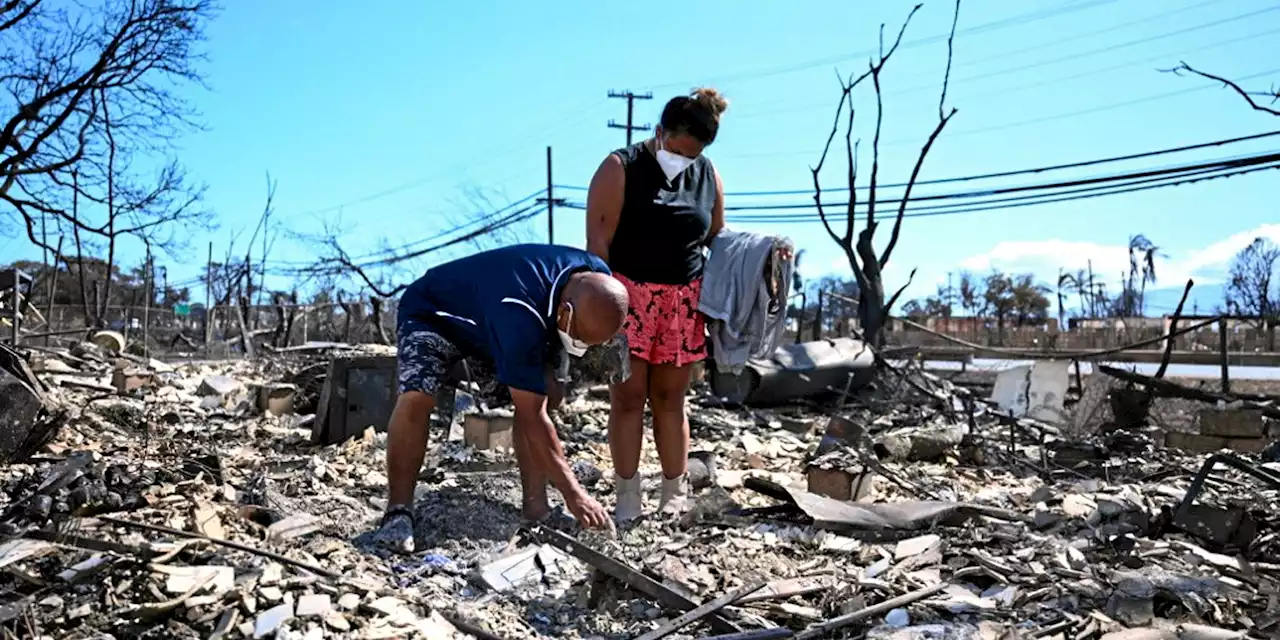 Incendies à Hawaï : le bilan s’alourdit à 89 morts