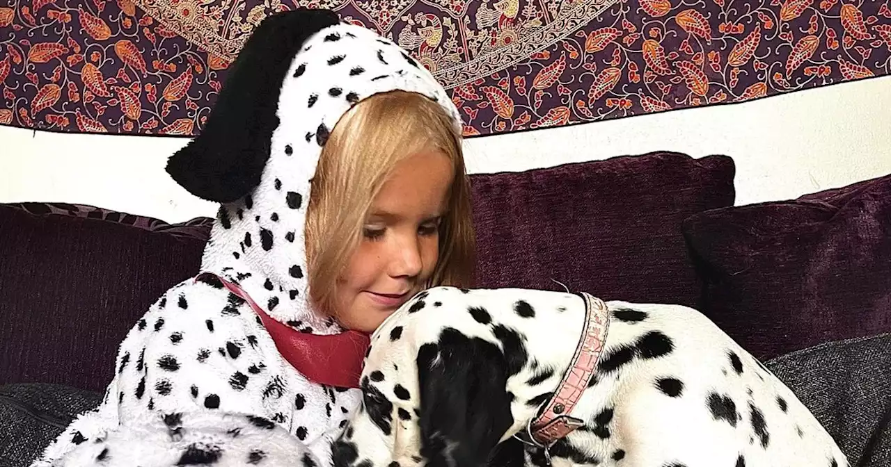 Dalmatian-mad girl who wanted to borrow a dog for her birthday gets big surprise