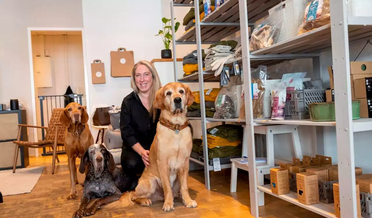 Neue Luxusboutique für Hunde: Wer kauft denn einen Napf für 89 Euro?