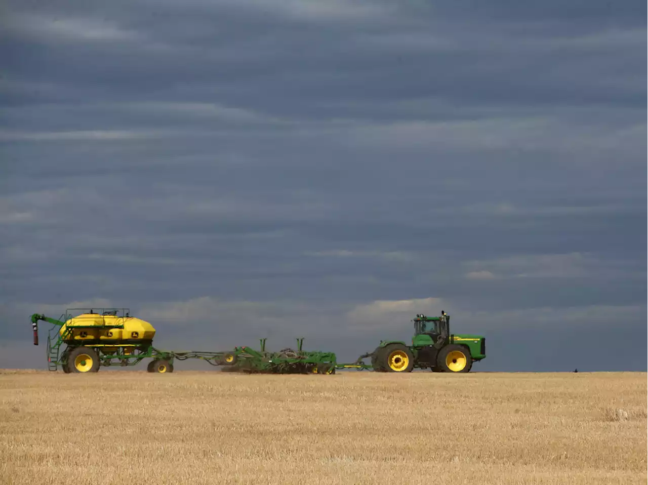 'Agricultural disasters' spread in Alberta, but local leaders say Ottawa's ignoring requests for help