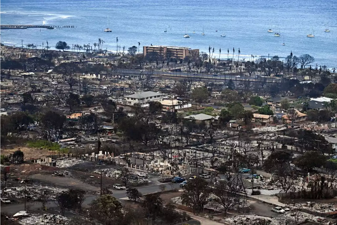 Fatalities rise to 93 in Maui, making it the deadliest wildfire in modern US history