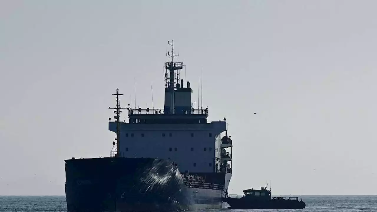 Guerre en Ukraine : tirs de sommation russes sur un cargo se dirigeant vers un port ukrainien