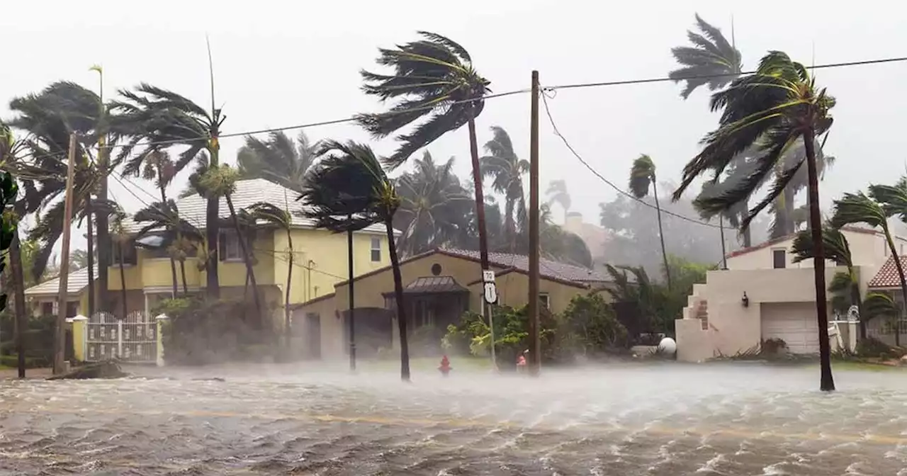 Tormenta tropical Fernanda: ¿Cuál será su trayectoria y cómo afectará Guanajuato?