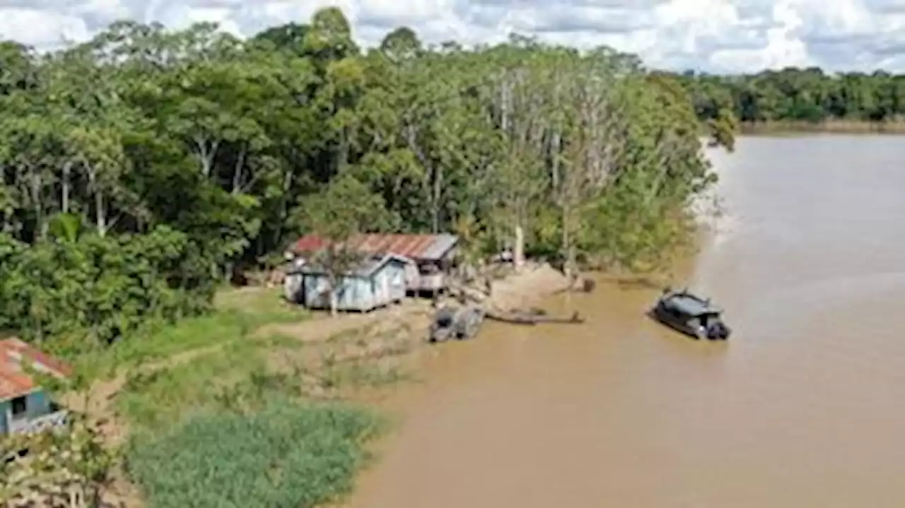 Caso Bruno e Dom: comissão interamericana cria grupo para proteger ativistas do Vale do Javari