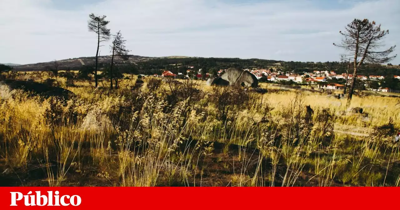 Ainda há ilhas de dinamismo no oceano despovoado que é o interior