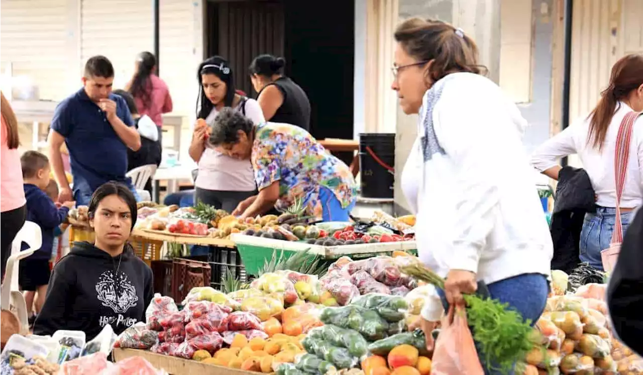 Mercado que se puede hacer con $ 200.000 en Éxito, Olímpica y Ara; lanzaron descuentos - Pulzo