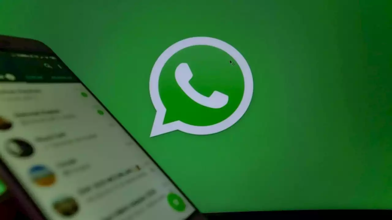 “Nos pedían $ 50.000 diarios”: así estafaron a cientos de personas por grupos de WhatsApp - Pulzo