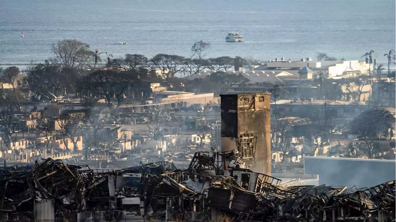 Hawaï : le bilan des incendies s’alourdit à 93 morts - rtbf.be