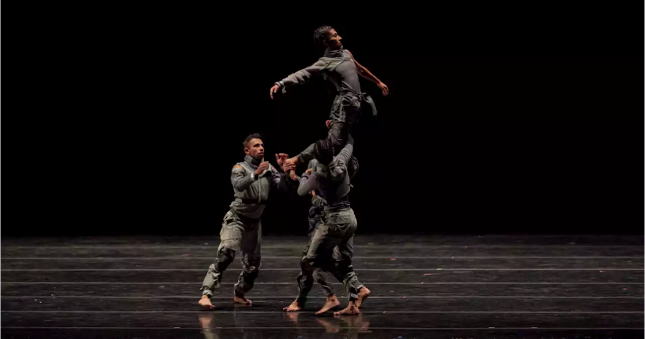 El Premio Internacional de Coreografía 3D se realizará en Bacalar, Quintana Roo