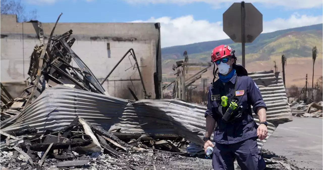 La cifra de muertos por un incendio forestal sube a 93 en Hawai; podría aumentar