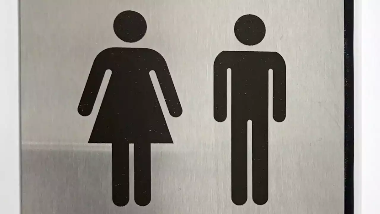 Clampdown on gender-neutral toilets planned by the government