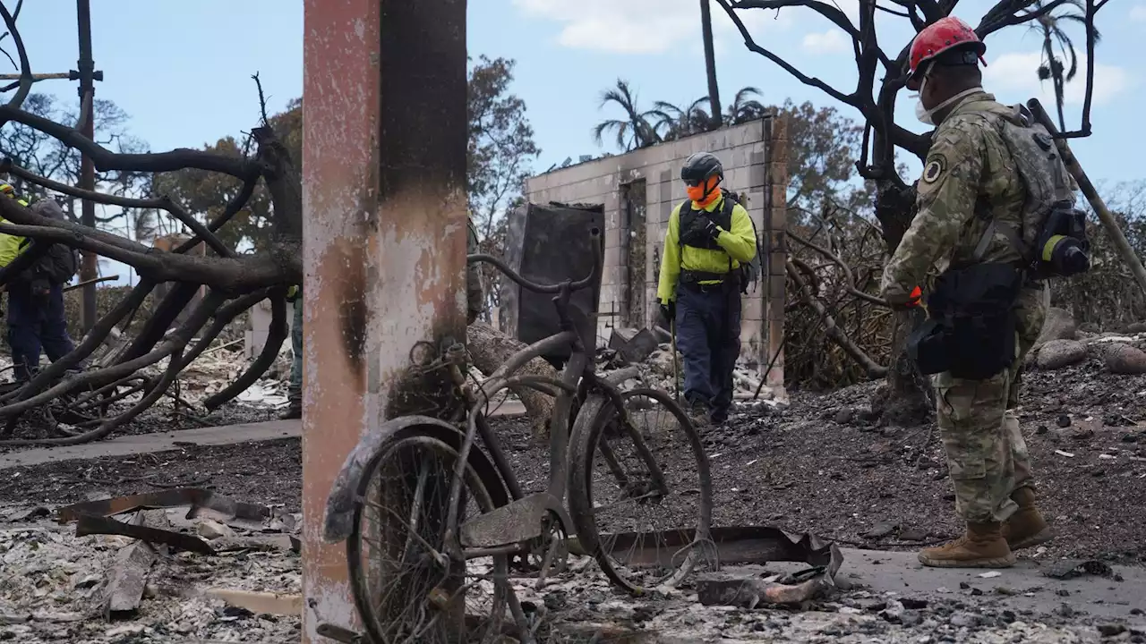 Hawaii wildfires: At least 89 killed - as governor warns there will be more fatalities