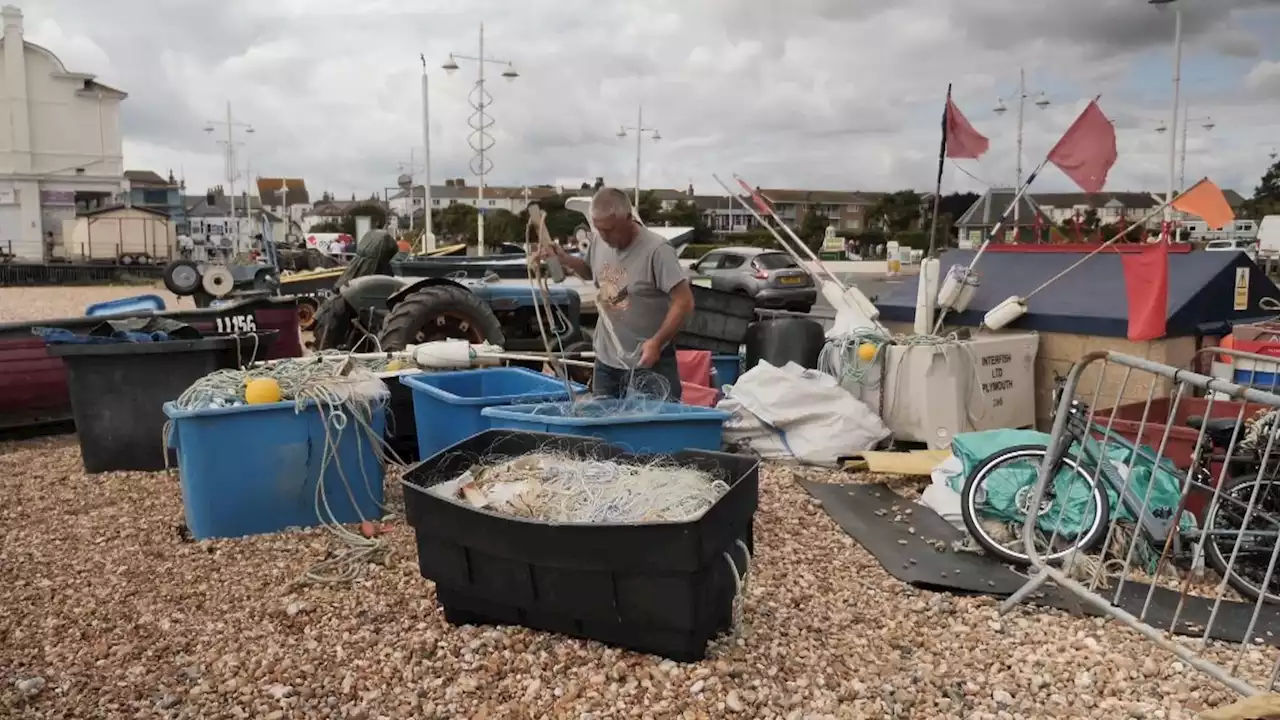 Thousands of hours of fishing still taking place in UK Marine Conservation Zones