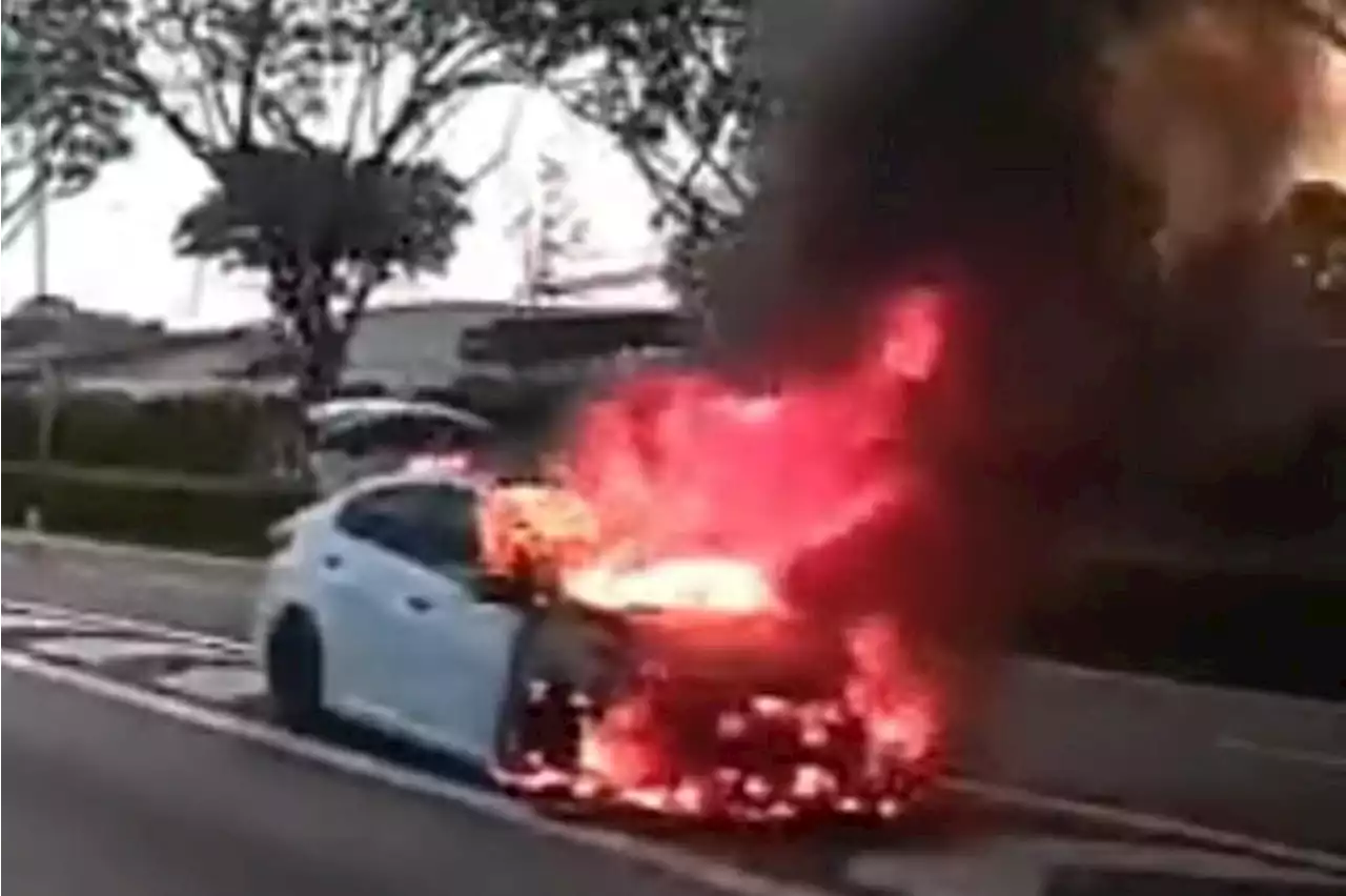 Car catches fire on Kallang-Paya Lebar Expressway on Friday; No injuries reported