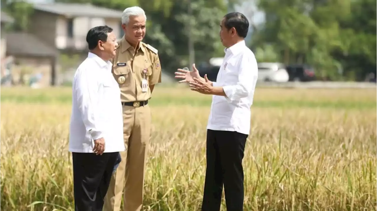 Golkar dan PAN Resmi Dukung Prabowo, Capres Pilihan Jokowi Masih Dinanti - Suara.com