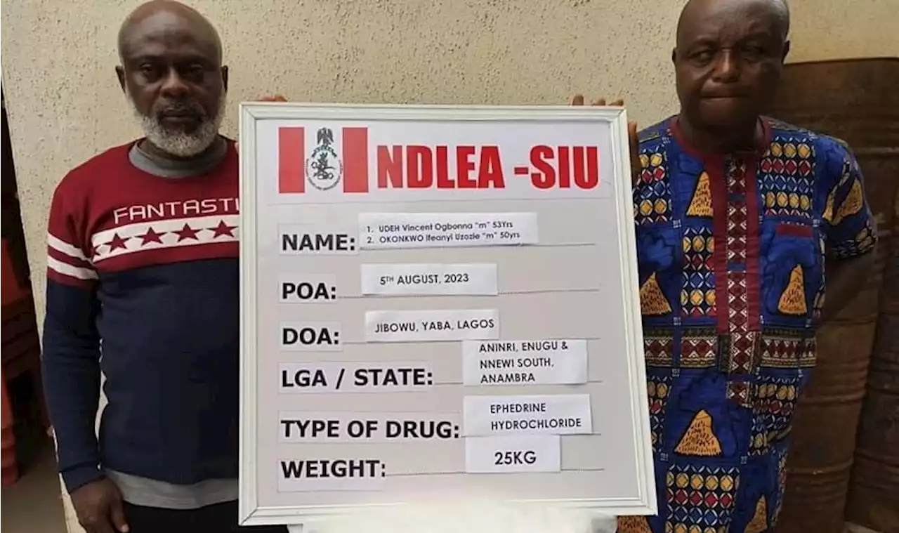 Four kingpins arrested as NDLEA bursts drug syndicates in Lagos | TheCable