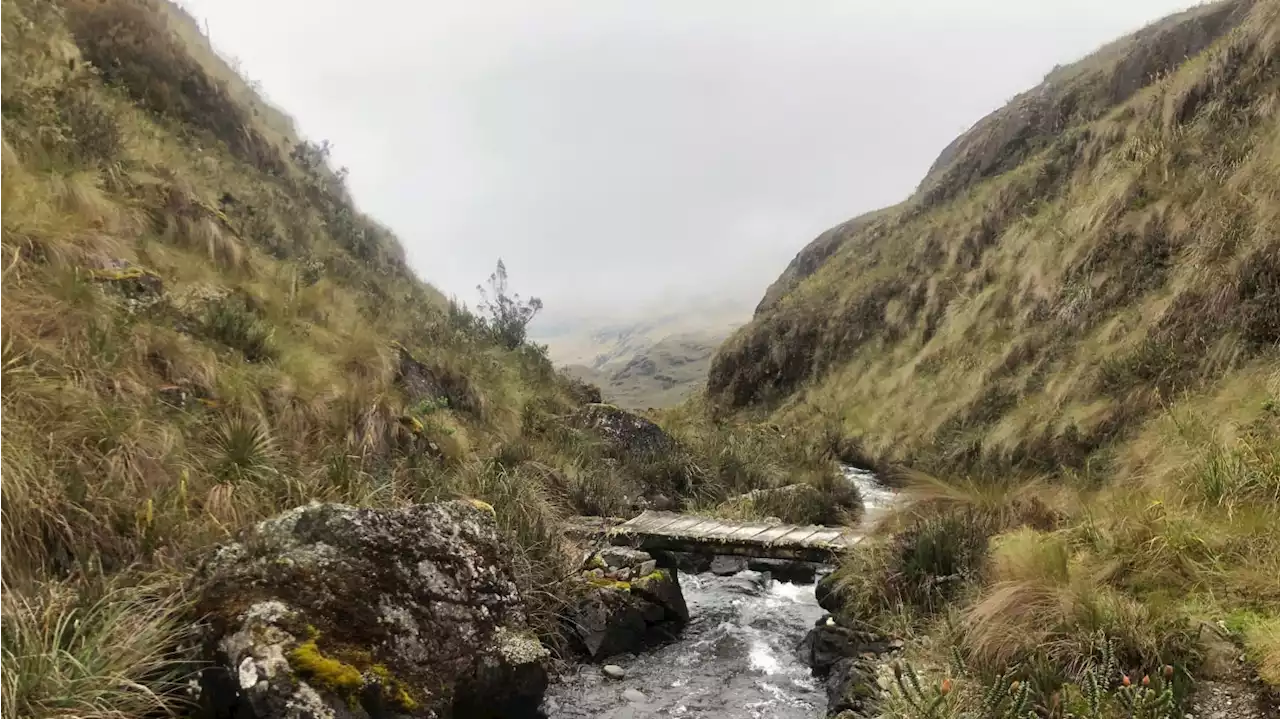 Hiking the Forgotten Royal Inca Trails of Ecuador