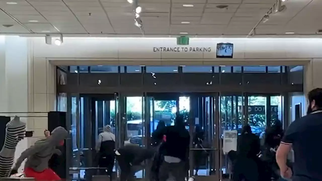 Flash Mob Hits Nordstrom in Brazen Smash-And-Grab Looting