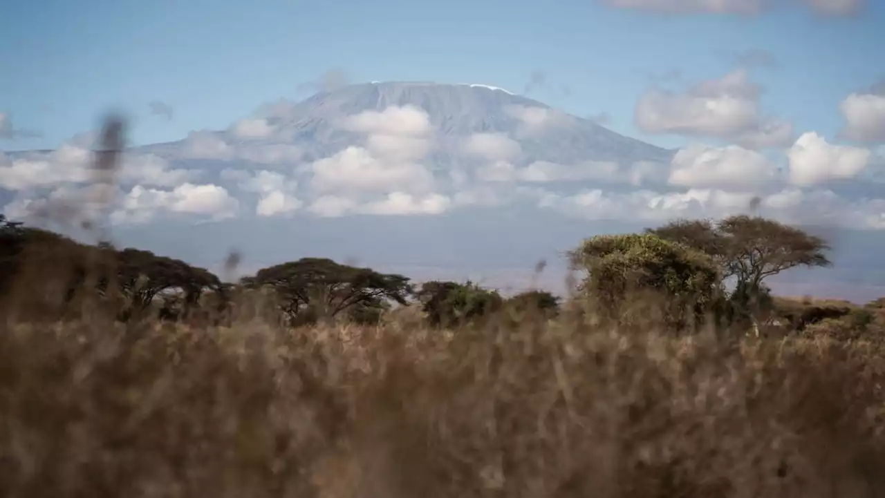 Singaporean dies during Mount Kilimanjaro climbing expedition