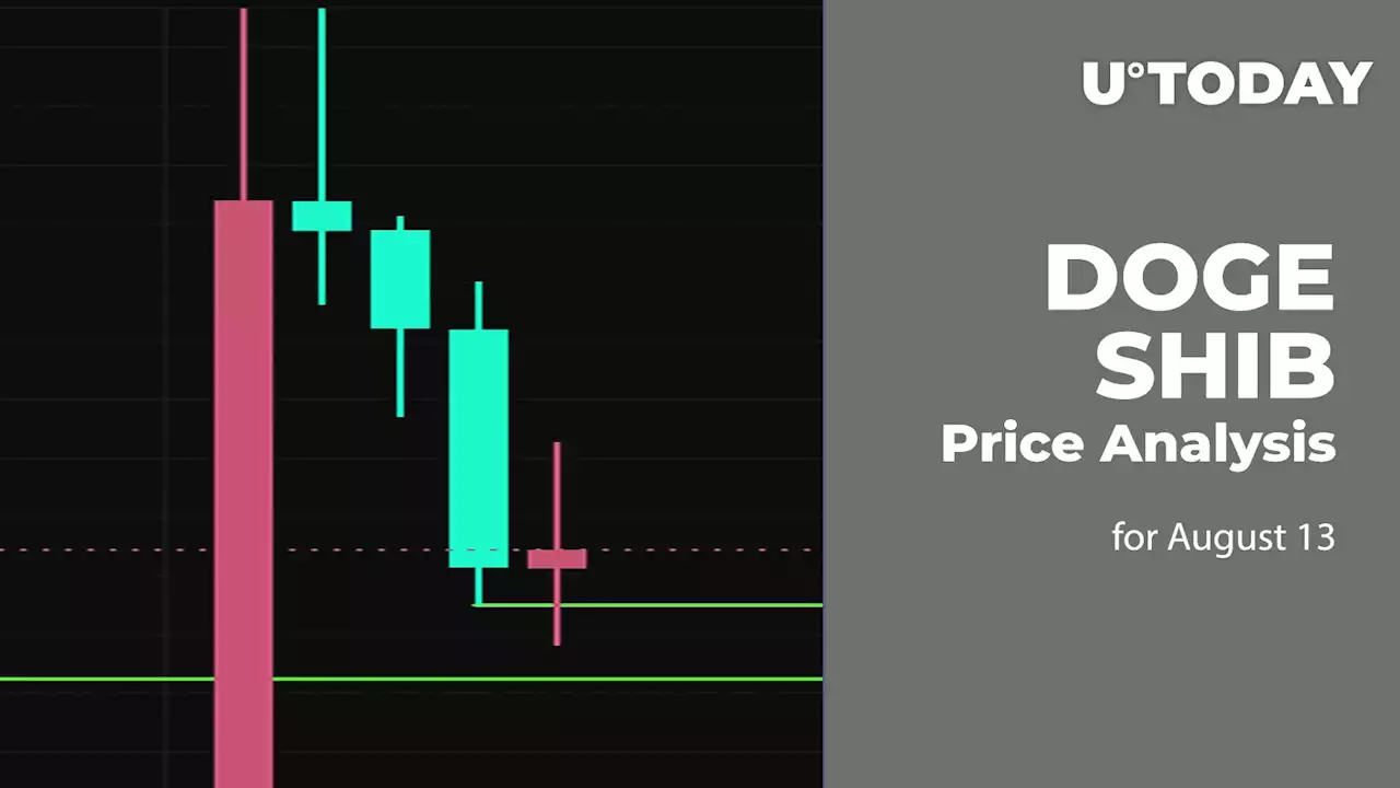 DOGE and SHIB Price Analysis for August 13
