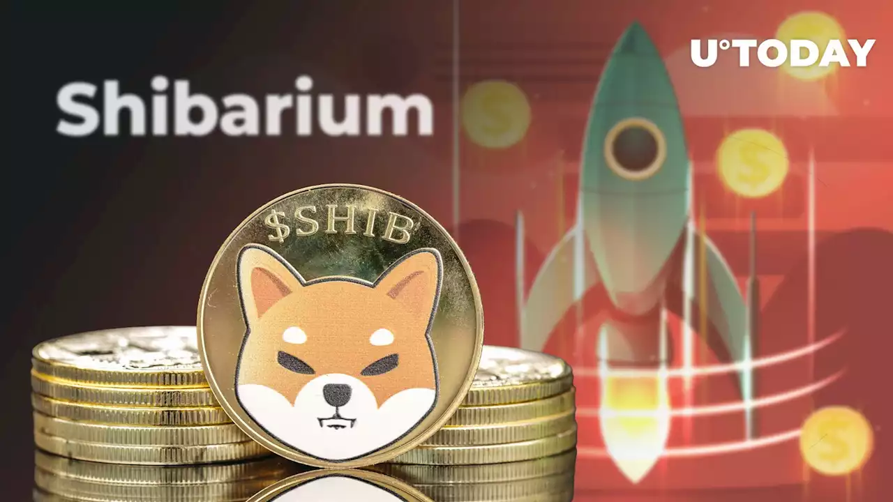 Shiba Inu (SHIB) Rockets to Record Highs Ahead of Thrilling Shibarium Debut