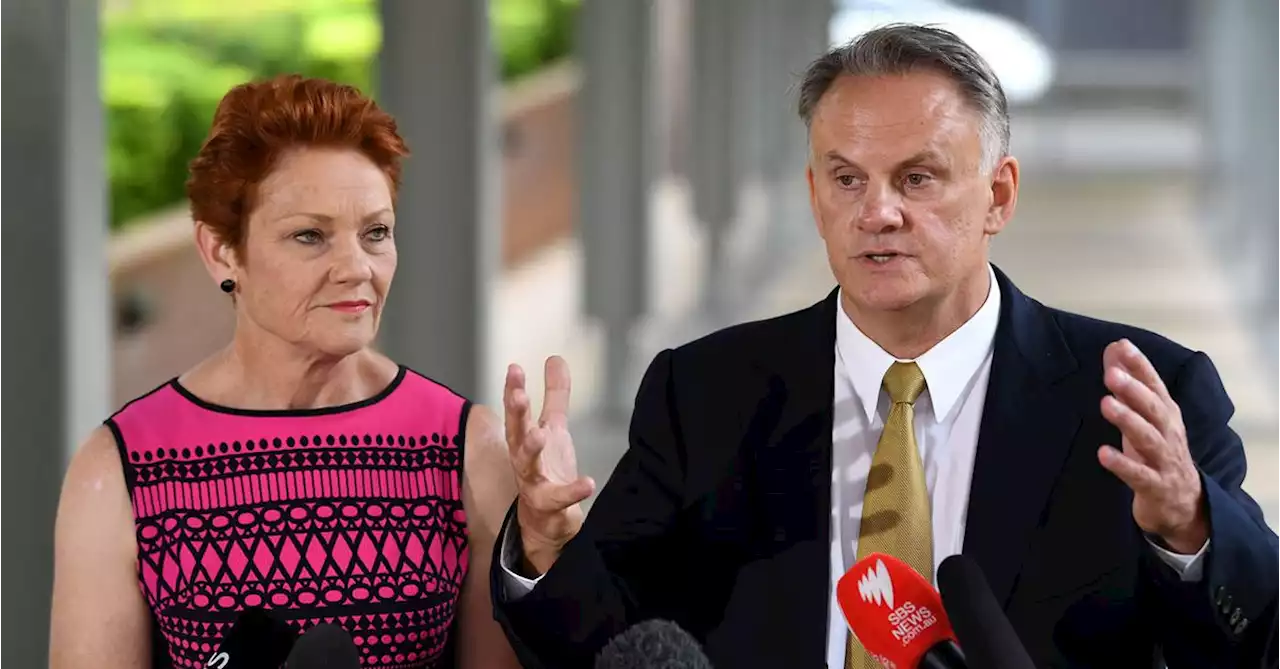 Mark Latham axed as One Nation leader in NSW