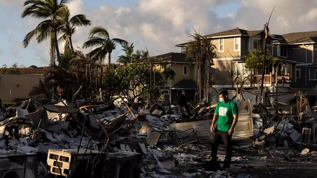 Maui wildfires live updates: Death toll rises to 96