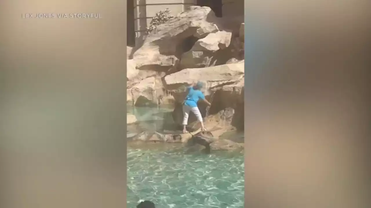 Tourist walks across Trevi Fountain in Rome to fill water bottle