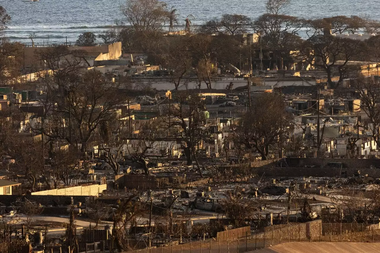 Incendies à Hawaï : le bilan atteint 96 morts et devrait encore augmenter