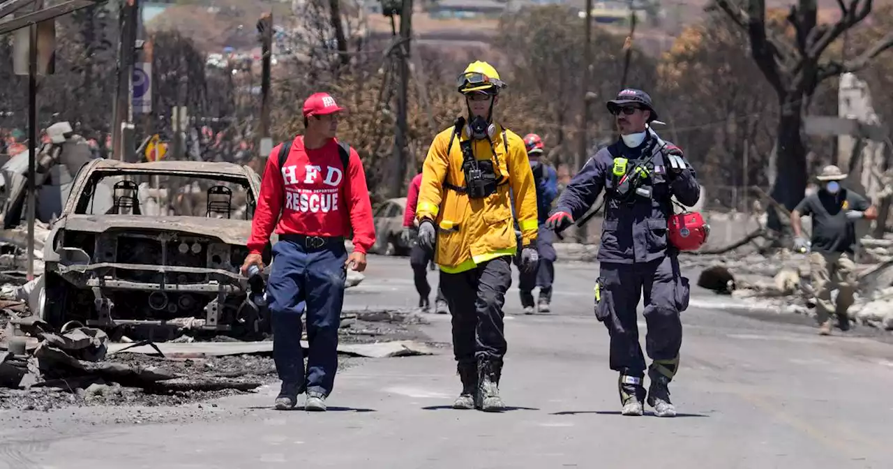 Tourists are urged to avoid Maui as hotels prepare to take in evacuees and first responders