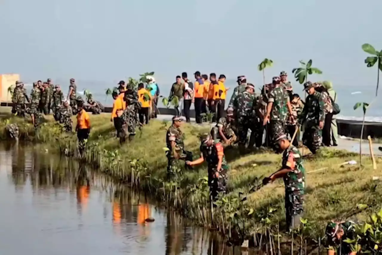 Kodim Pekalongan tanam mangrove upaya melindungi pantai dari abrasi