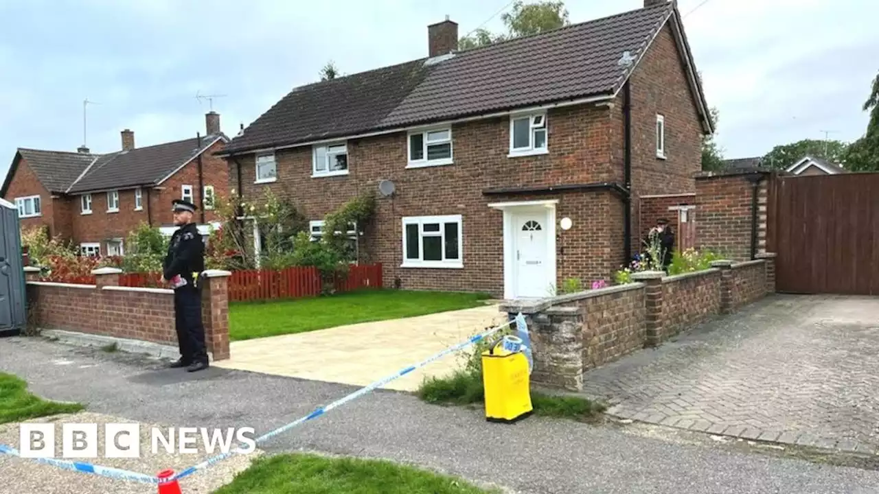 Woking murder inquiry: Girl, 10, was alone in house when found