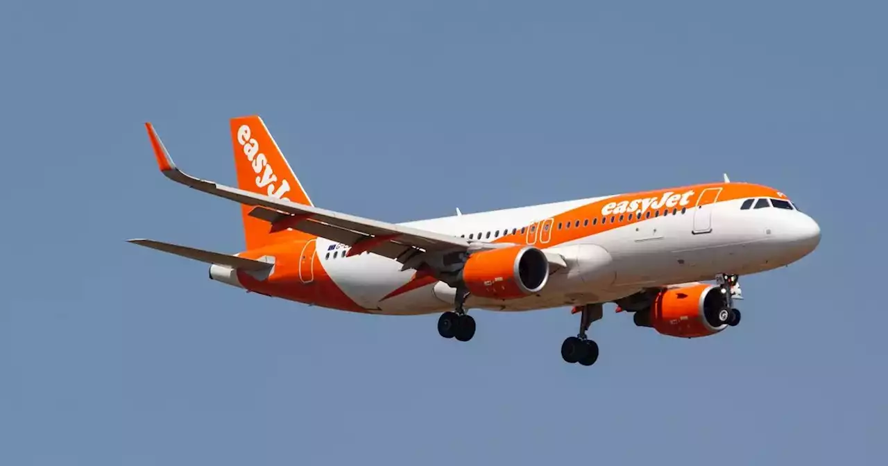 Travel warning for easyJet, Ryanair and BA travellers about certain bags