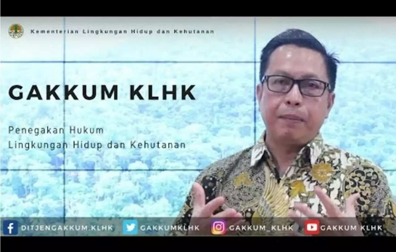 KLHK dan PPATK Bentuk Tim Usut Aliran Uang Kejahatan Lingkungan Rp 1 T ke Parpol