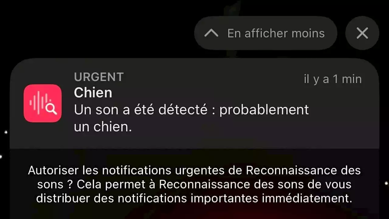 Sonnettes, pleurs d'enfants, aboiements: comment activer la détection des sons sur iPhone?