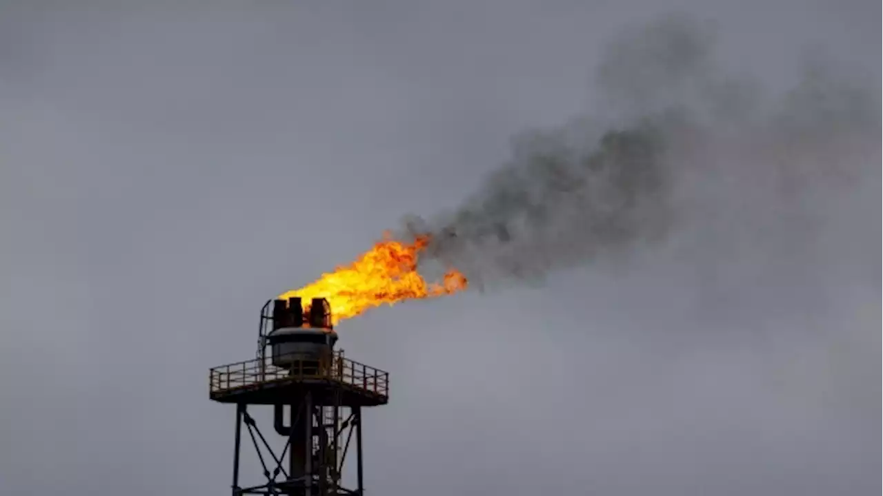 Oil dips as concerns about China spur volatility across markets - BNN Bloomberg