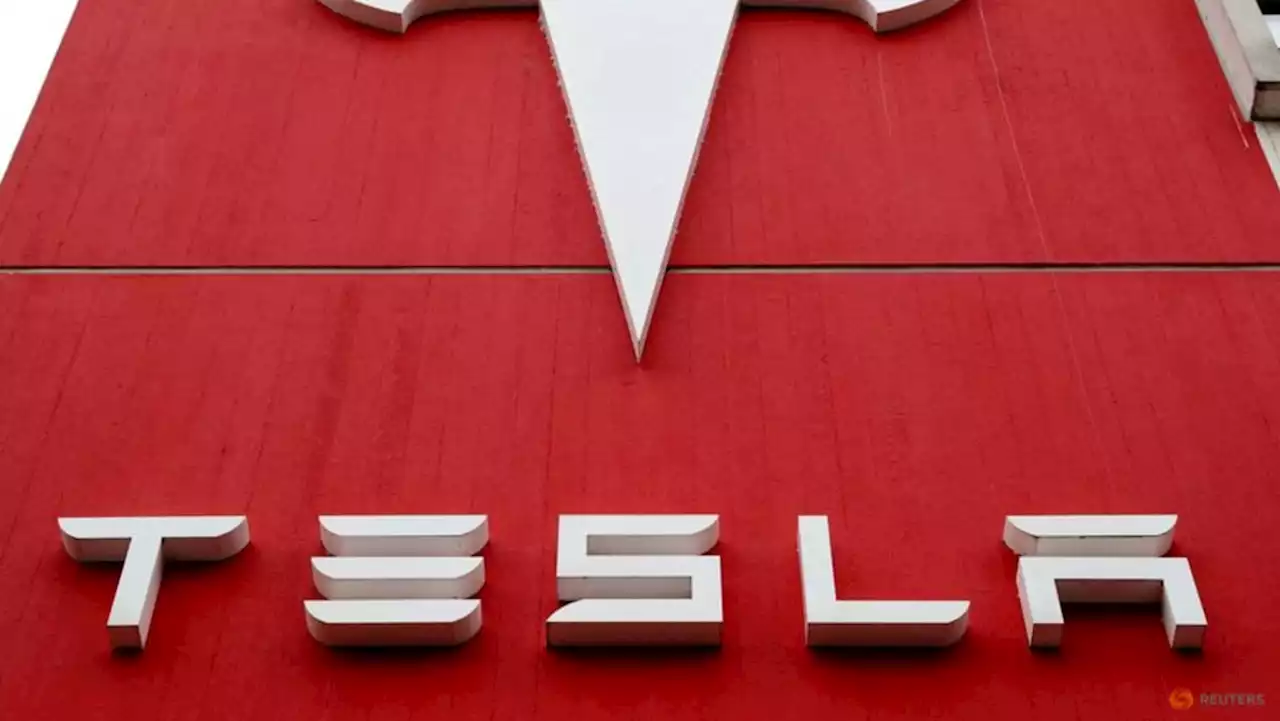 Indonesia says Tesla plans to invest in battery material facility