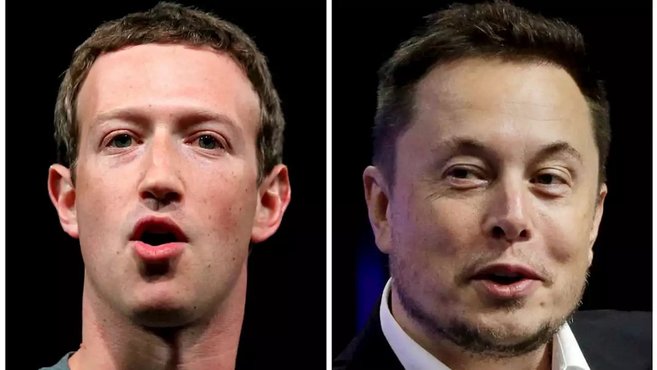 'It's time to move on': Zuckerberg says Musk 'not serious' about cage fight