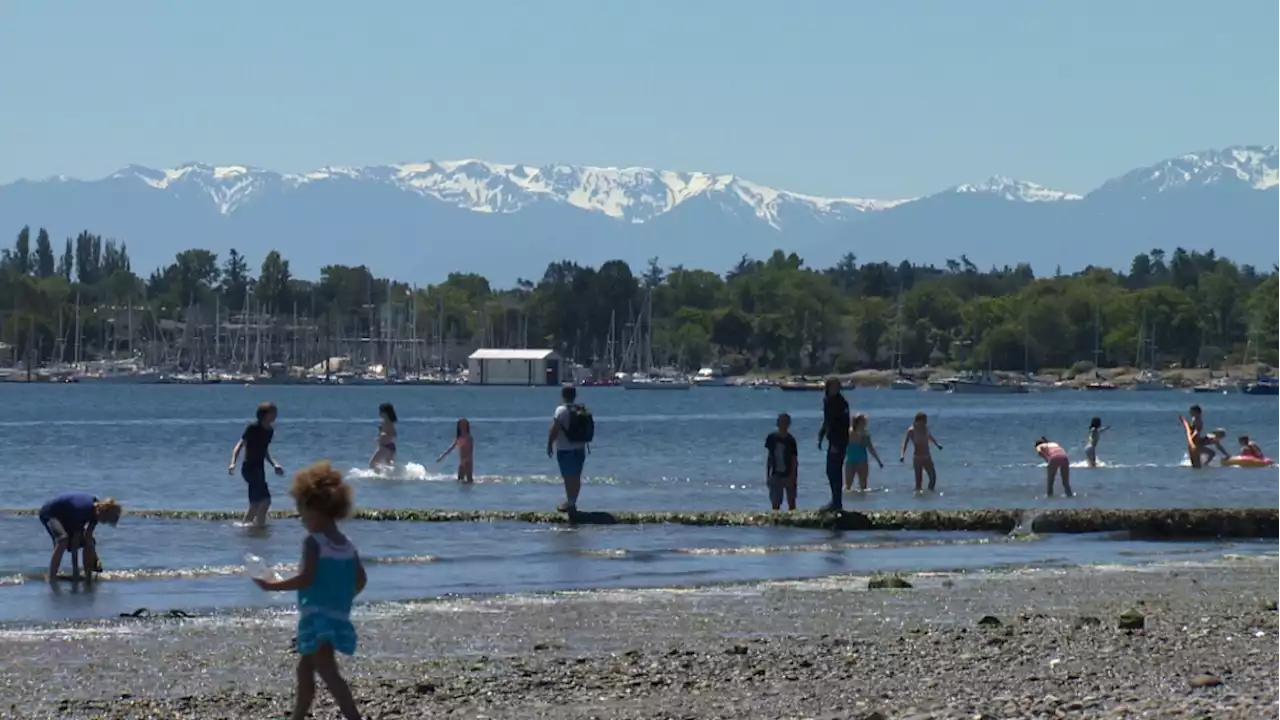 Heat warnings persist on Vancouver Island as temperatures to reach mid-30s