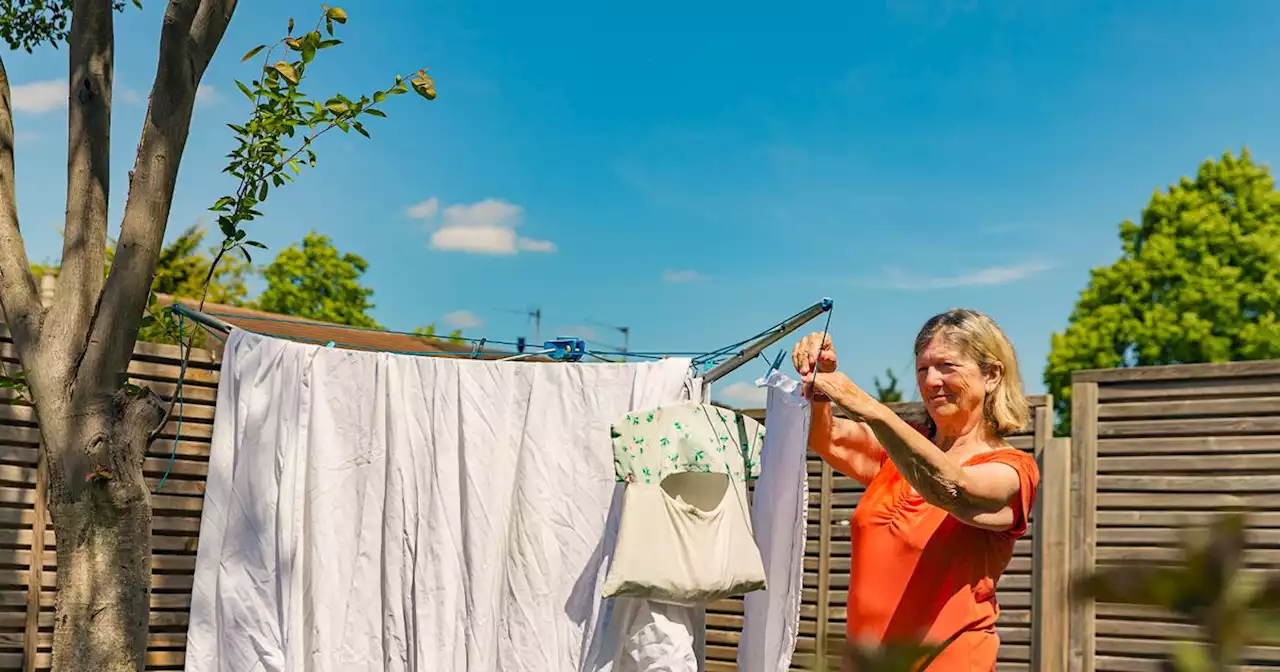 Woman's 'harsh' revenge plot on neighbour hanging laundry on shared fence