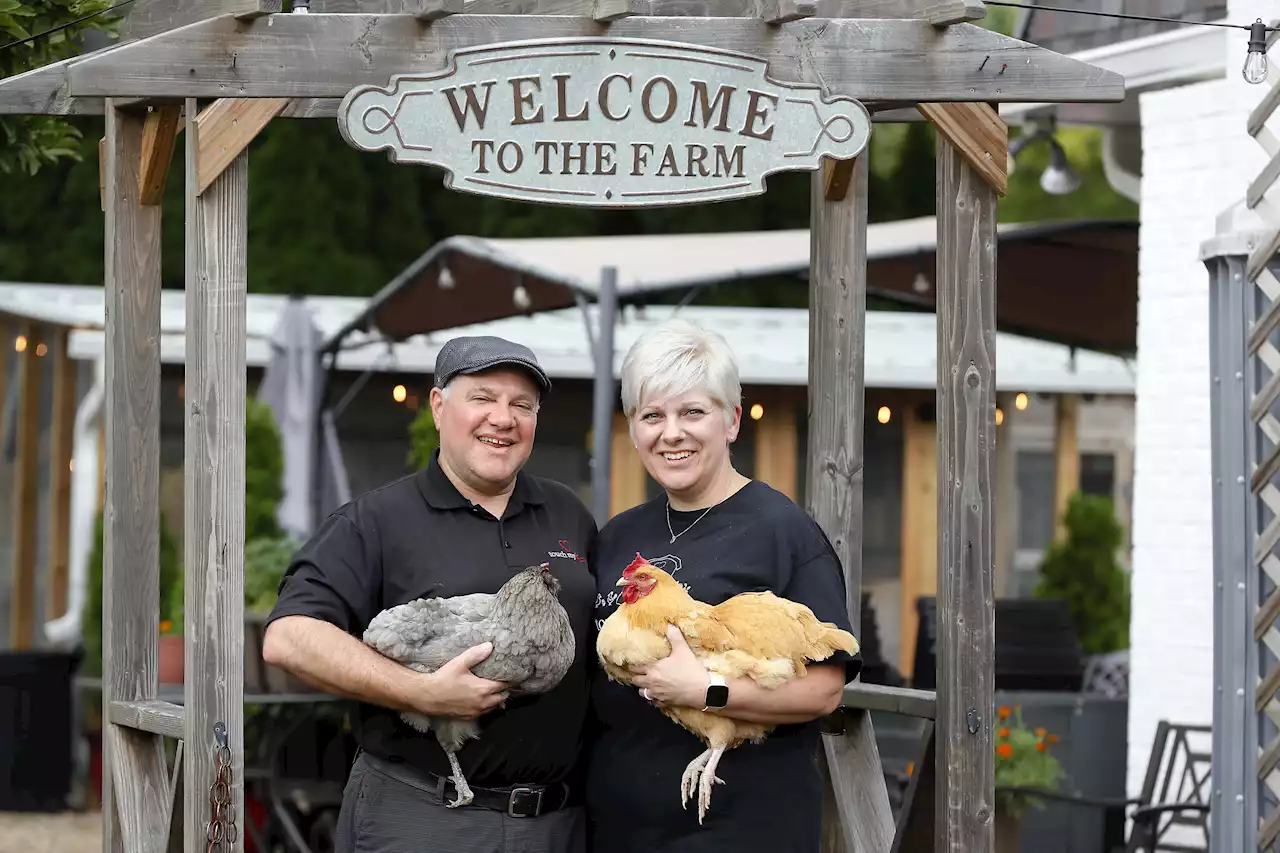 Chicken therapy? Naperville couple's neighbors balking over nonprofit