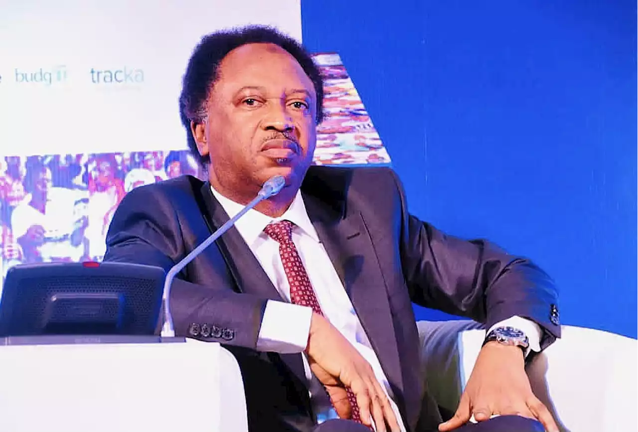 Stop inciting coup, our democracy redeemable - Shehu Sani warns Nigerians