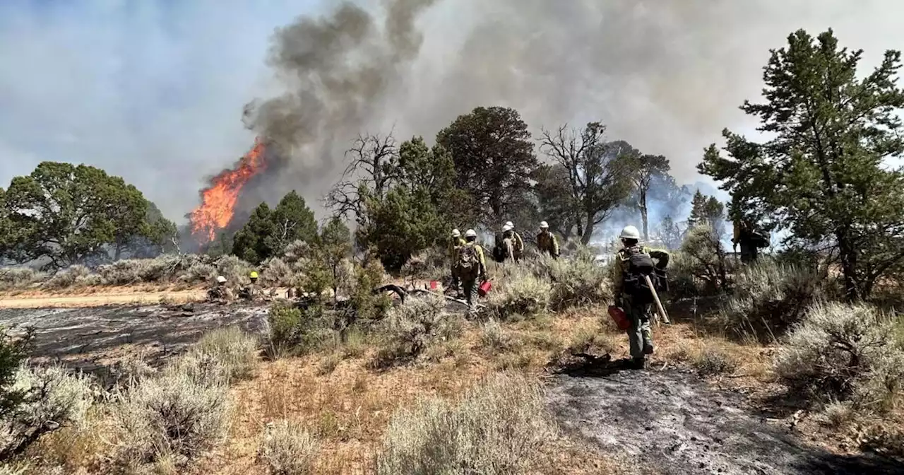 Little Mesa Fire near Delta reaches 3.3K acres, no evacuations ordered