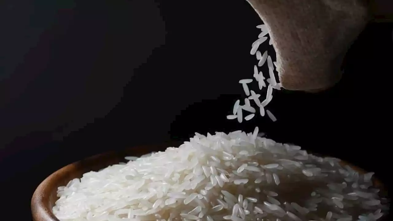 Subida do preço do arroz sem impacto imediato em Portugal