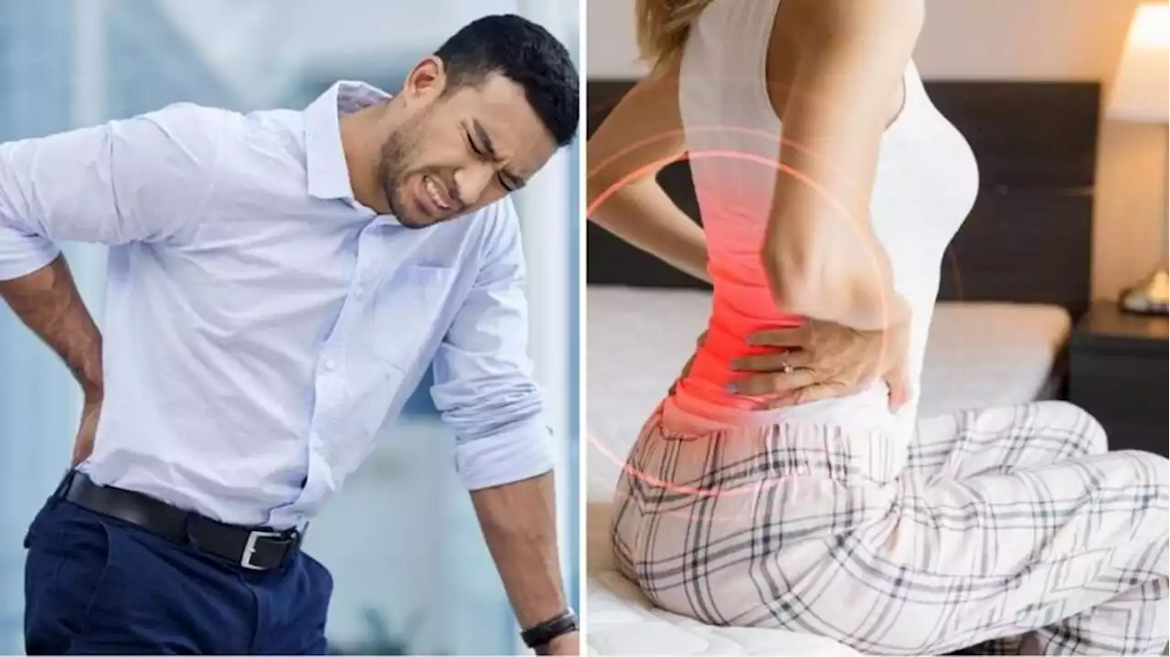 ¿Cómo identificar si es ciática, dolor lumbar o dolor de espalda; y cómo prevenirlos?