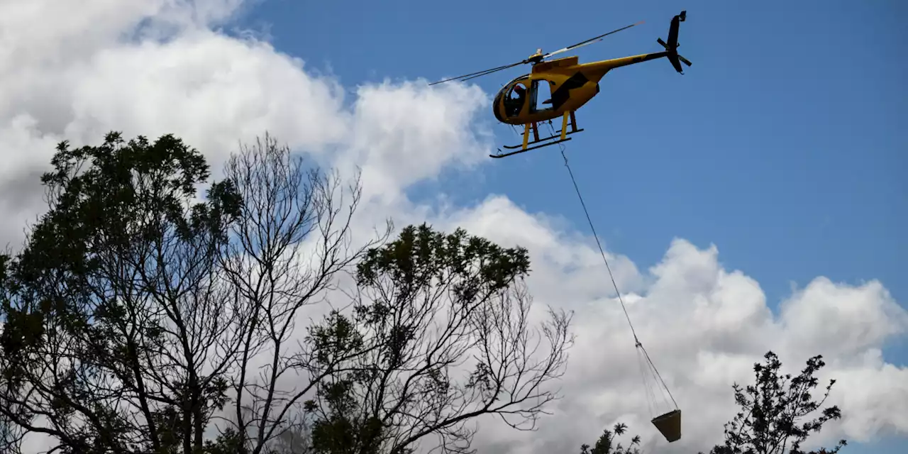 Incendies à Hawaï : l'inefficacité des autorités pointée du doigt